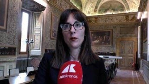 Spazio, Rau (Schmidt Sciences): "Collaborazione scientifica Italia-Usa fondamentale" Spazio, Rau (Schmidt Sciences): "Collaborazione scientifica Italia-Usa fondamentale"