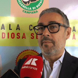 Pantini (Nomisma): &quot;Mozzarella di bufala campana Dop conquista i consumatori Ue&quot;