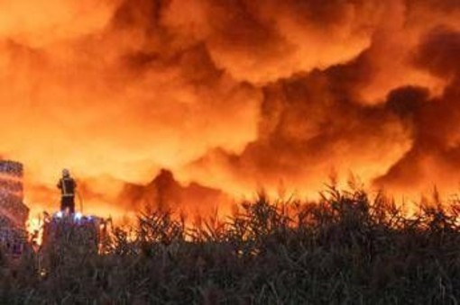 Croazia, brucia Lokva Rogoznica: almeno 36 feriti nell'incendio, 7 rischiano la vita Croazia, brucia Lokva Rogoznica: almeno 36 feriti nell'incendio, 7 rischiano la vita