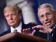 Trump: "Favorevole a eventuale incriminazione di Fauci" Trump: "Favorevole a eventuale incriminazione di Fauci"
