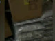Torino, maxi sequestro stupefacenti. Oltre 110 kg di marijuana e hashish