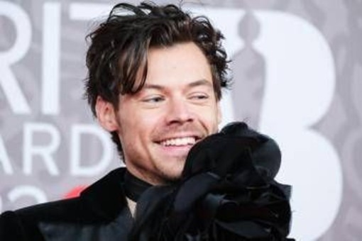 Harry Styles oltre la musica, lancia una linea di... sex toys: &quot;Pleasing Yourself&quot;