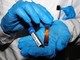 Hantavirus, test negativo per la persona in isolamento in Veneto Hantavirus, test negativo per la persona in isolamento in Veneto