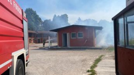 Treviso, incendio all'ippodromo Sant’Artemio: sei cavalli muoiono tra le fiamme Treviso, incendio all'ippodromo Sant’Artemio: sei cavalli muoiono tra le fiamme