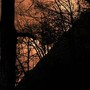 Incendi, Vigili del fuoco al lavoro dal Piemonte al Sud: "Bruciati +15% ettari rispetto a scorso anno" Incendi, Vigili del fuoco al lavoro dal Piemonte al Sud: "Bruciati +15% ettari rispetto a scorso anno"
