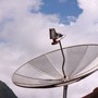 TV satellitare, qualità e copertura: a Napoli il confronto sul futuro del settore TV satellitare, qualità e copertura: a Napoli il confronto sul futuro del settore