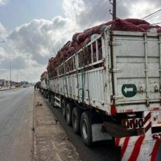 Benin, militari annunciano golpe. Ma fonti vicine al presidente: &quot;Esercito regolare sta riprendendo il controllo&quot;