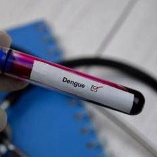 Dengue, salgono ancora i casi in Italia: 96 da inizio anno