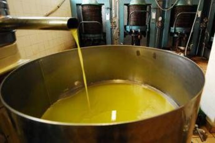 Unifol: "Per movimenti dell'olio sfuso﻿ sì alla bolla elettronica "