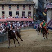 Palio di Siena oggi, orario e dove vederlo (in diretta): contrade, cavalli e fantini