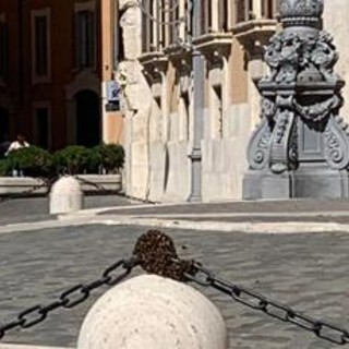 Sciame d'api a Montecitorio, transennato pilone all'ingresso