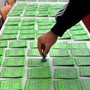Referendum giustizia, oggi si vota dalle 7 alle 15. Affluenza al 46,07% nella prima giornata Referendum giustizia, oggi si vota dalle 7 alle 15. Affluenza al 46,07% nella prima giornata