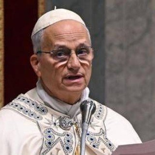 Trump contro il Papa, la solidarietà della politica al Pontefice: "Fuori luogo e disgustoso" Trump contro il Papa, la solidarietà della politica al Pontefice: "Fuori luogo e disgustoso"