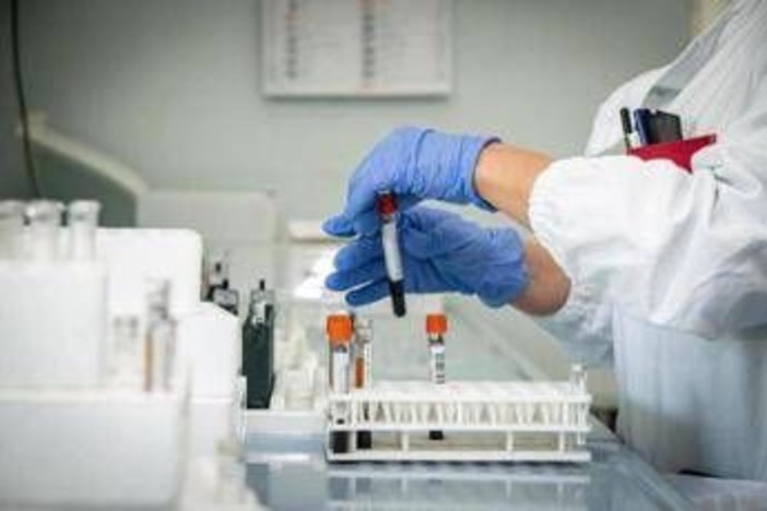 Chikungunya, secondo caso a Novellara