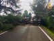 Maltempo al centronord, alberi caduti e allagamenti: oltre 1300 gli interventi dei Vigili del Fuoco
