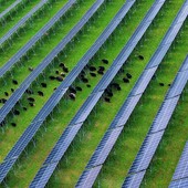 Cina, nel Sichuan attivato importante progetto fotovoltaico ad alta quota Cina, nel Sichuan attivato importante progetto fotovoltaico ad alta quota