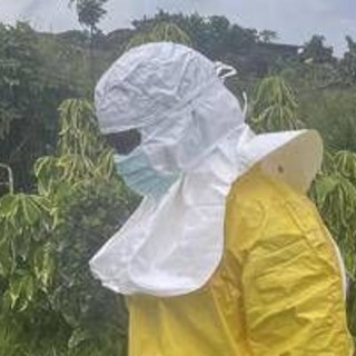 Ebola, il report e l'allarme: "I casi reali potrebbero essere il doppio"