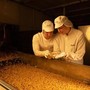Fiere, a Tuttofood la risposta di Barilla ai nuovi trend alimentari
