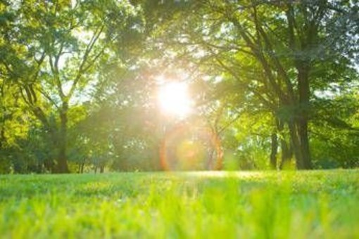 Poche nubi e niente neve, sarà ancora caldo anomalo: le previsioni meteo Poche nubi e niente neve, sarà ancora caldo anomalo: le previsioni meteo