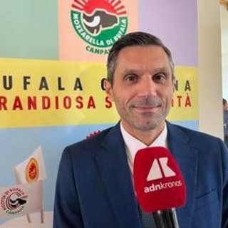 Made in Italy, Matricano (Univ. Vanvitelli): &quot;Fare squadra tra Consorzio mozzarella campana Dop imprese e istituzioni&quot;