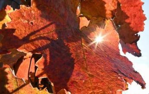 Sole e caldo ma solo per 48 ore, poi arriva il ciclone di Halloween: ecco il meteo che ci aspetta