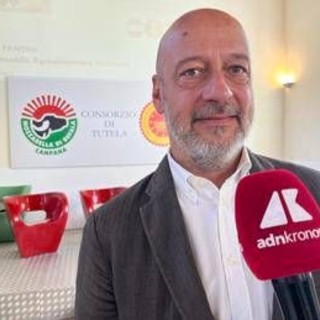 Made in Italy, Saccani (Mozzarella di Bufala Campana Dop): &quot;Innovare per restare tradizione&quot;