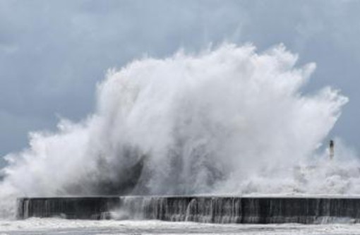 Taiwan, in arrivo il tifone Bavi: evacuate centinaia di persone Taiwan, in arrivo il tifone Bavi: evacuate centinaia di persone