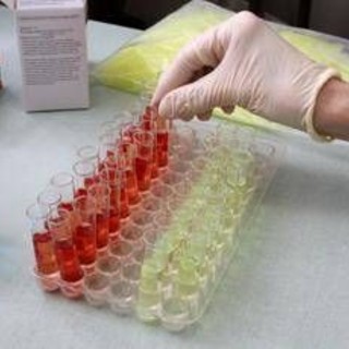 Svolta nella produzione di sangue artificiale, un 'segnale' può farla decollare